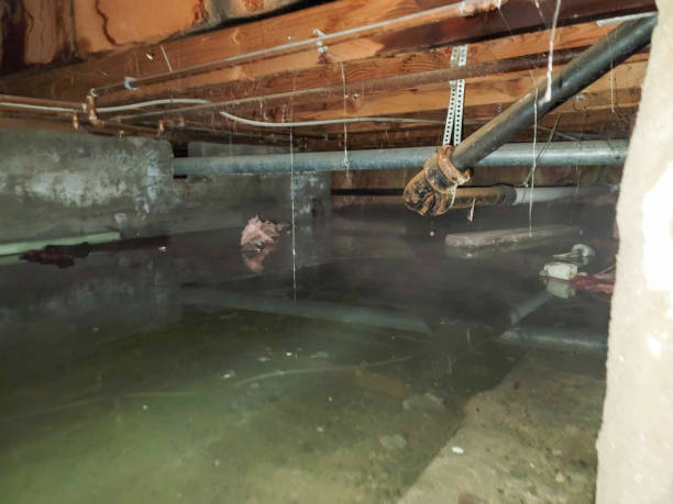 Best Sewage cleanup and water damage restoration  in Dry Ridge, OH