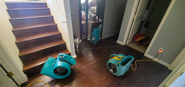 Best Carpet water damage restoration  in Dry Ridge, OH