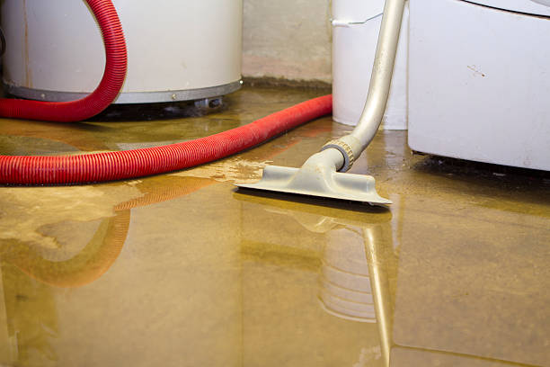 Carpet water damage restoration in Dry Ridge, OH