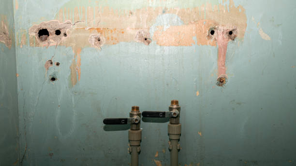 Best Sewage cleanup and water damage restoration  in Dry Ridge, OH