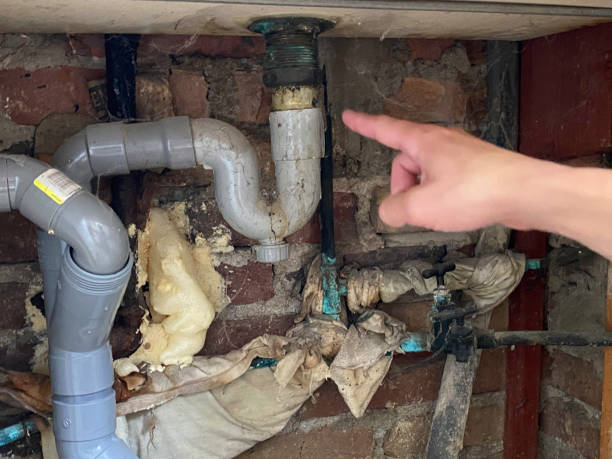 Best Flood damage cleanup  in Dry Ridge, OH