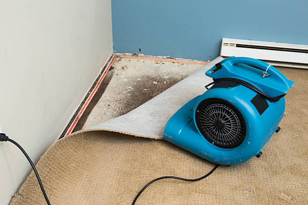 Best Water damage restoration near me  in Dry Ridge, OH